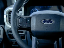 Ford F150 Lightning Pro full