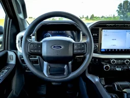 Ford F150 Lightning Pro full