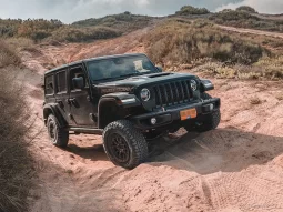 Wrangler 392 full