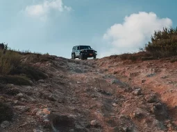 Wrangler 392 full
