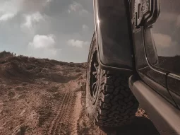 Wrangler 392 full